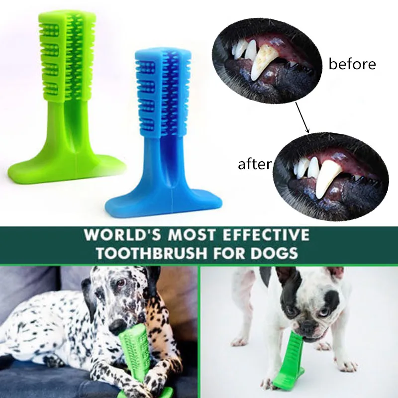 Buying Guide Dog Toothbrush Pet Chewing Dental Toys Pets Oral Care Dog