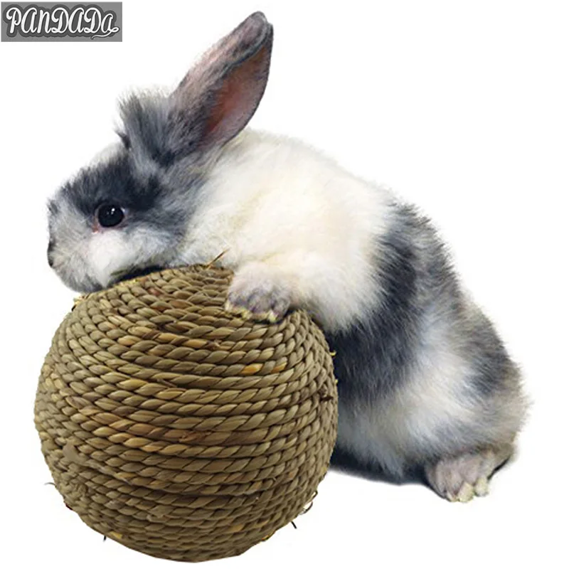 Buy panDaDa Hamster Rabbit Toys Hamster Ball Guinea