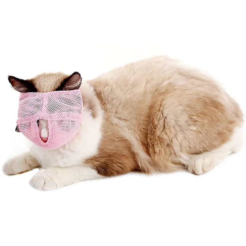 cat muzzle  (2)