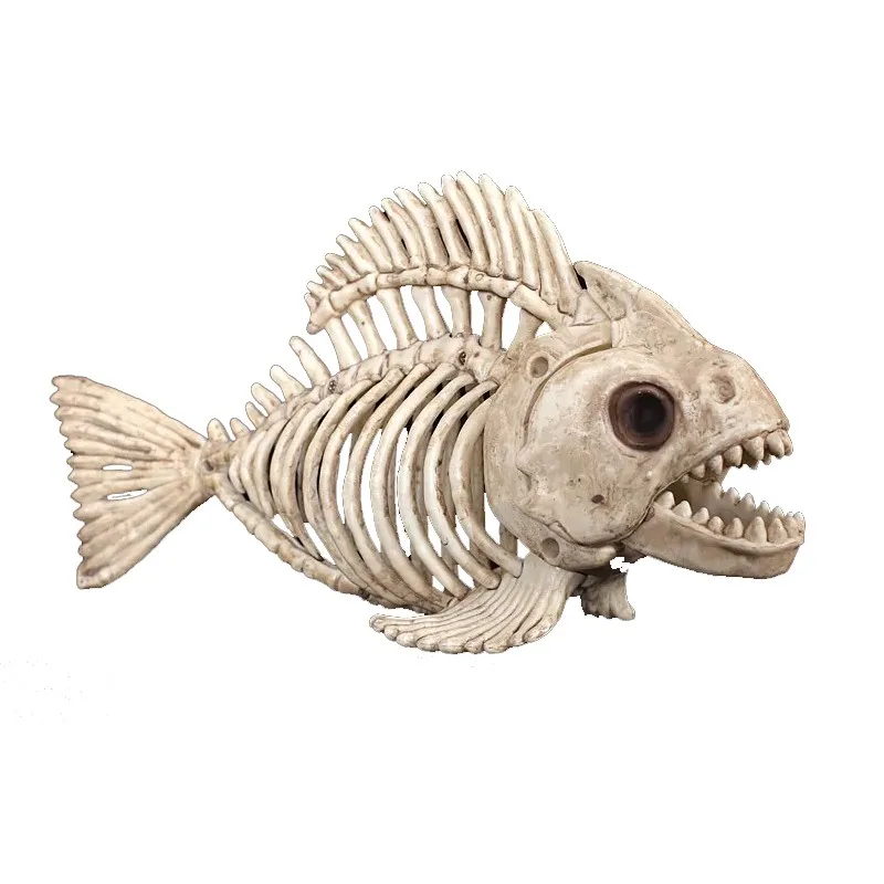 GA16015 skeleton fish