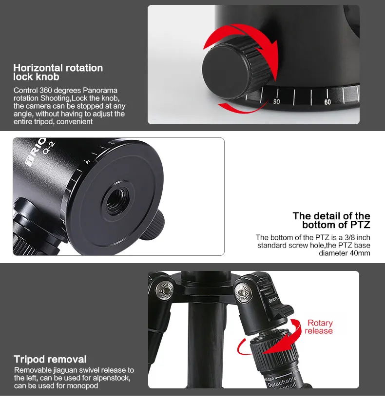 T259G-10-5_15