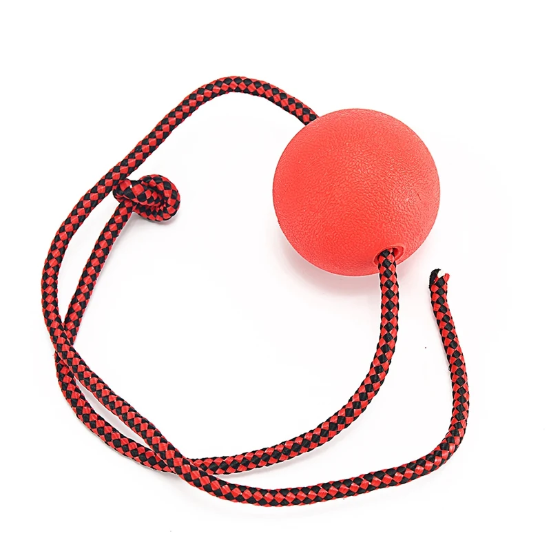 Dog Toys For Large Small Dogs Interactive Squeaky Dogs Puppy Toys Training Balls Rope Cat Scraper Dog Toothbrush Pet Products XLA009 (10)
