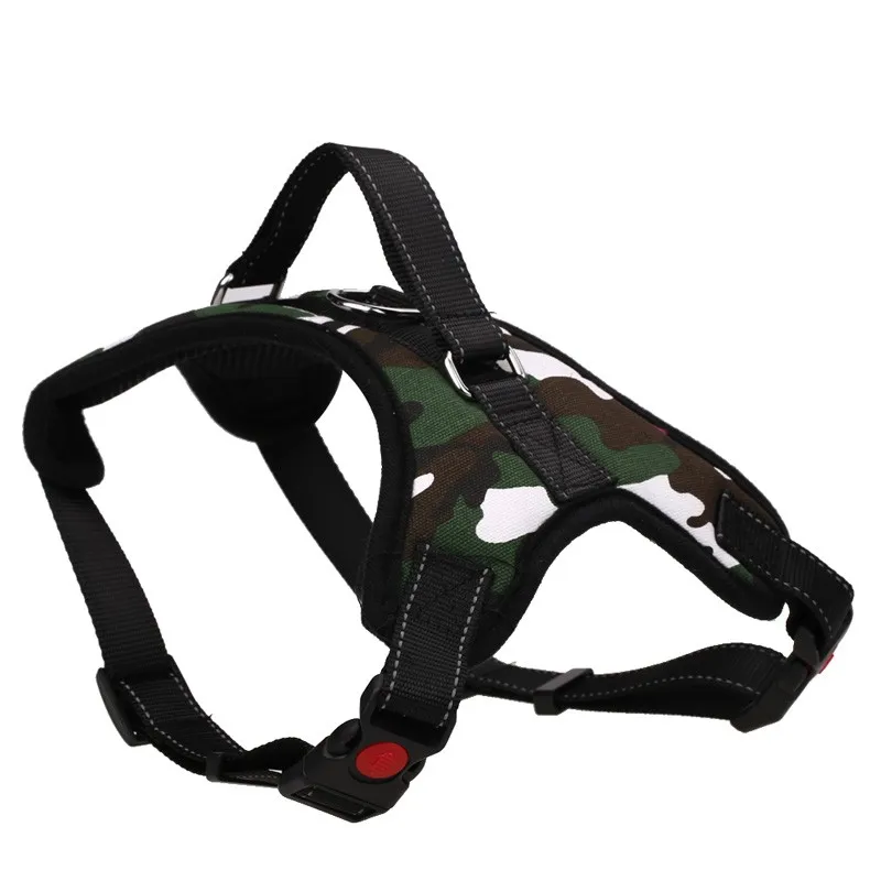 harnais sport chien