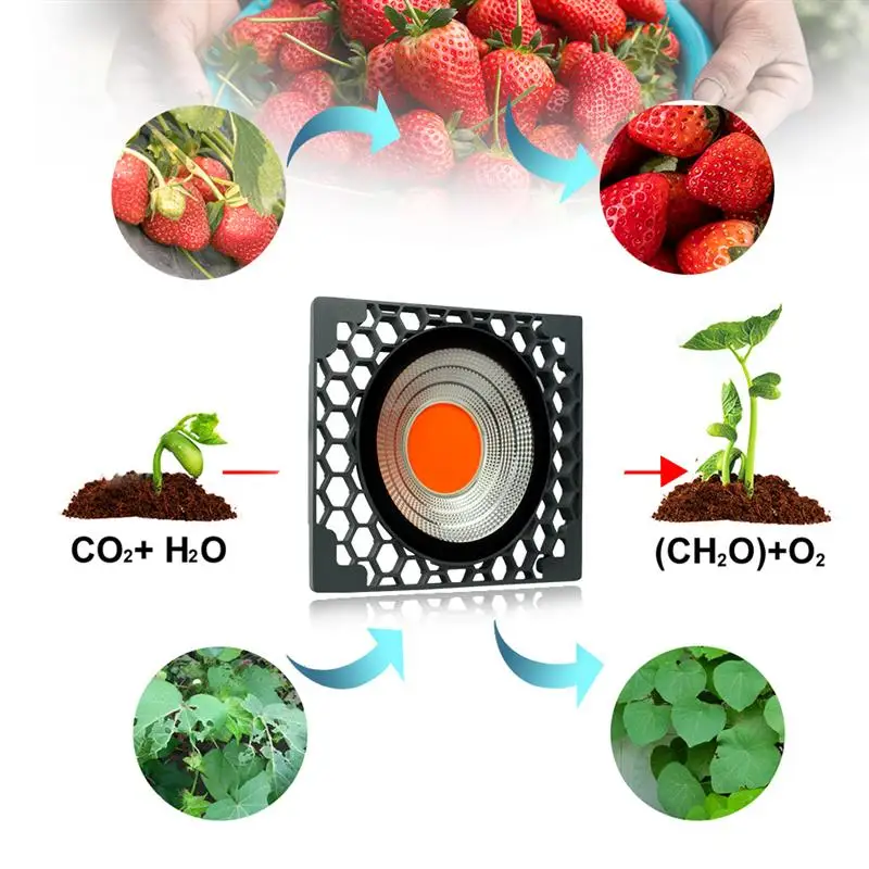 100 Вт водонепроницаемый растительный светильник светодиодный COB полный спектр растительный светильник с сотовым охлаждением заполняющий светильник для садовой теплицы