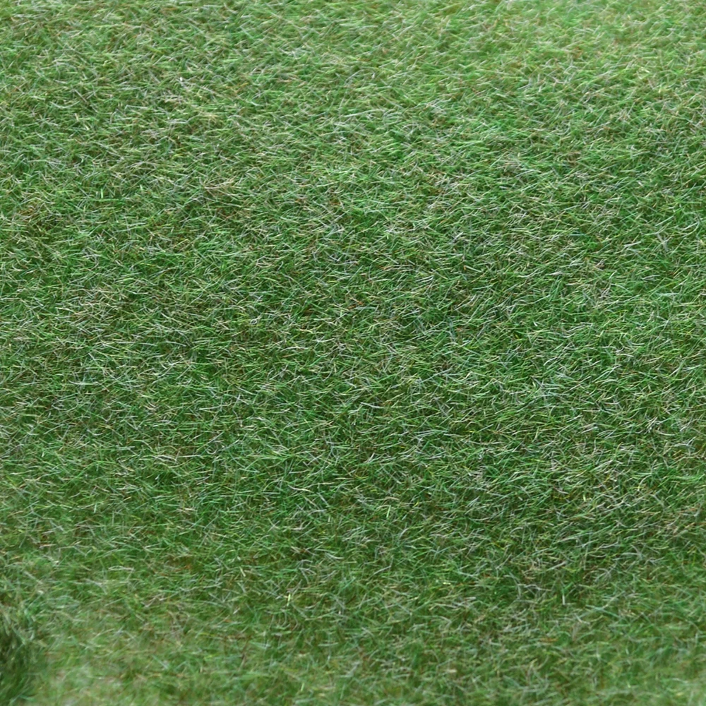 

Miniature Scene Materia Turf Flock Lawn Nylon 3MM Scene Materia Light Green Turf