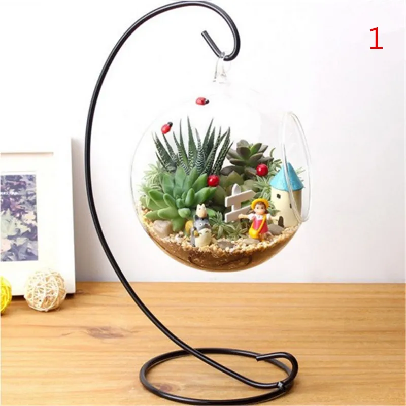 Buy 15cm Clear Round Glass Vase Bottle Terrarium