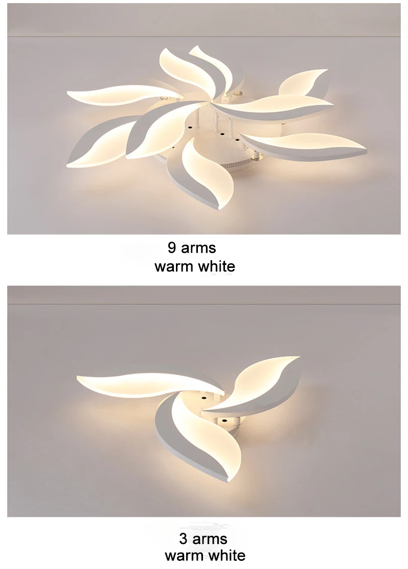 8663826432_2024459643