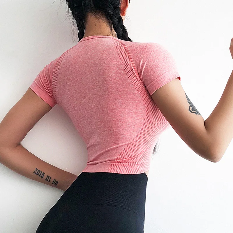 

2019 Women Seamless Yoga Shirts Gym Workout Clothes Short Sleeve Crop Top Sportwear Yoga Sports Fitness Top Yoga top