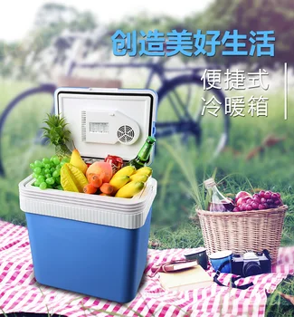 Online 2 In 1 Mini Home Car Refrigerator 24L 12V 220V Mini Fridge Cold Warm Dual Use Cooler Box Home Car Fridge