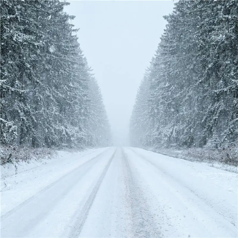 

KIDNIU Winter Photography Studio Wallpaper Background Snow Trees Photo Props Screen Backdrops Vinyl 6x6ft win1382