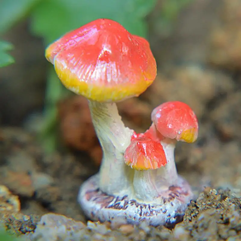 

Lovely DIY Mushroom Toadstool Miniature Fairy Garden Terrarium Figurine Dollhouse Decoration