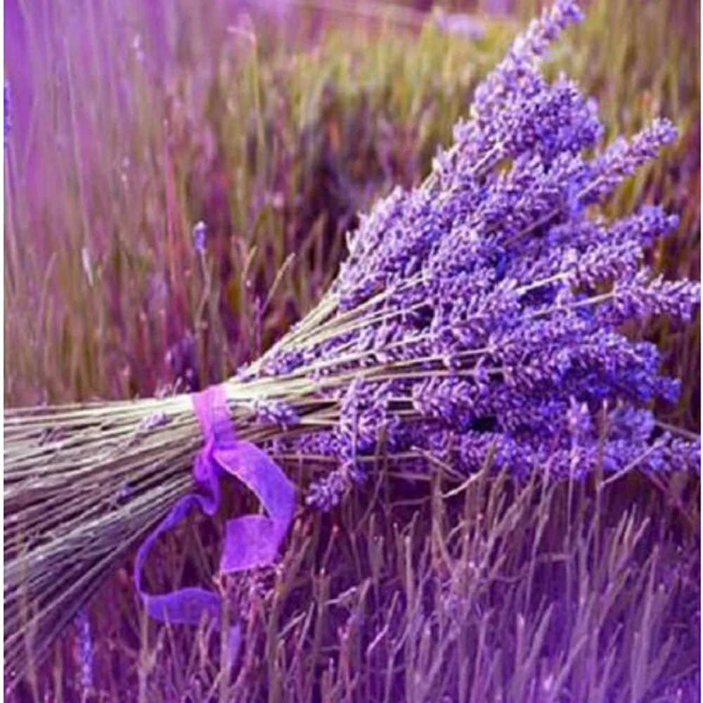 

5D New diamond embroidery Lavender flowers 5D cross stitch crystal square diamond Flowers diy diamond painting Home Decor H1516