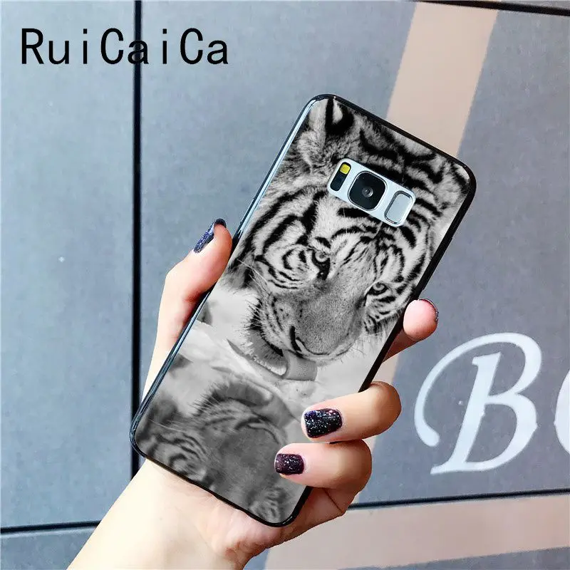 tiger fashion