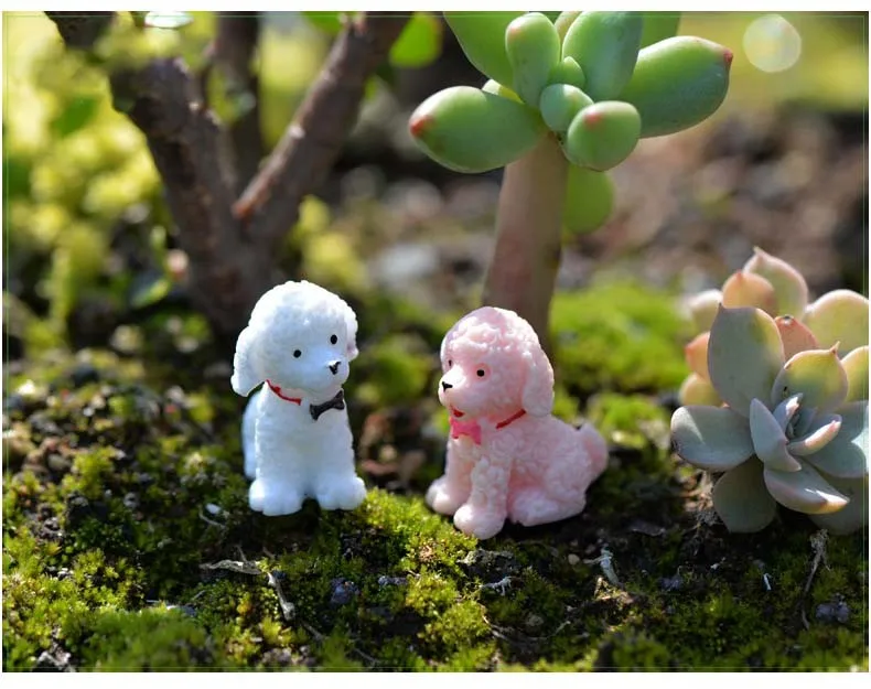 2969218293_393786582