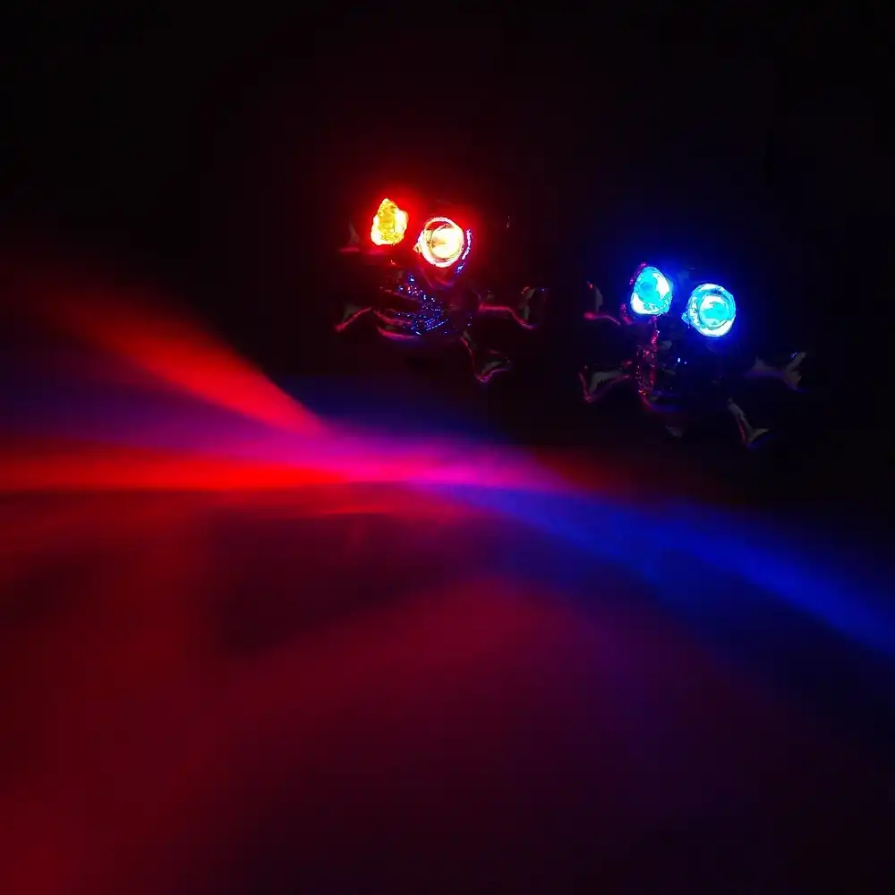 blue number plate lights