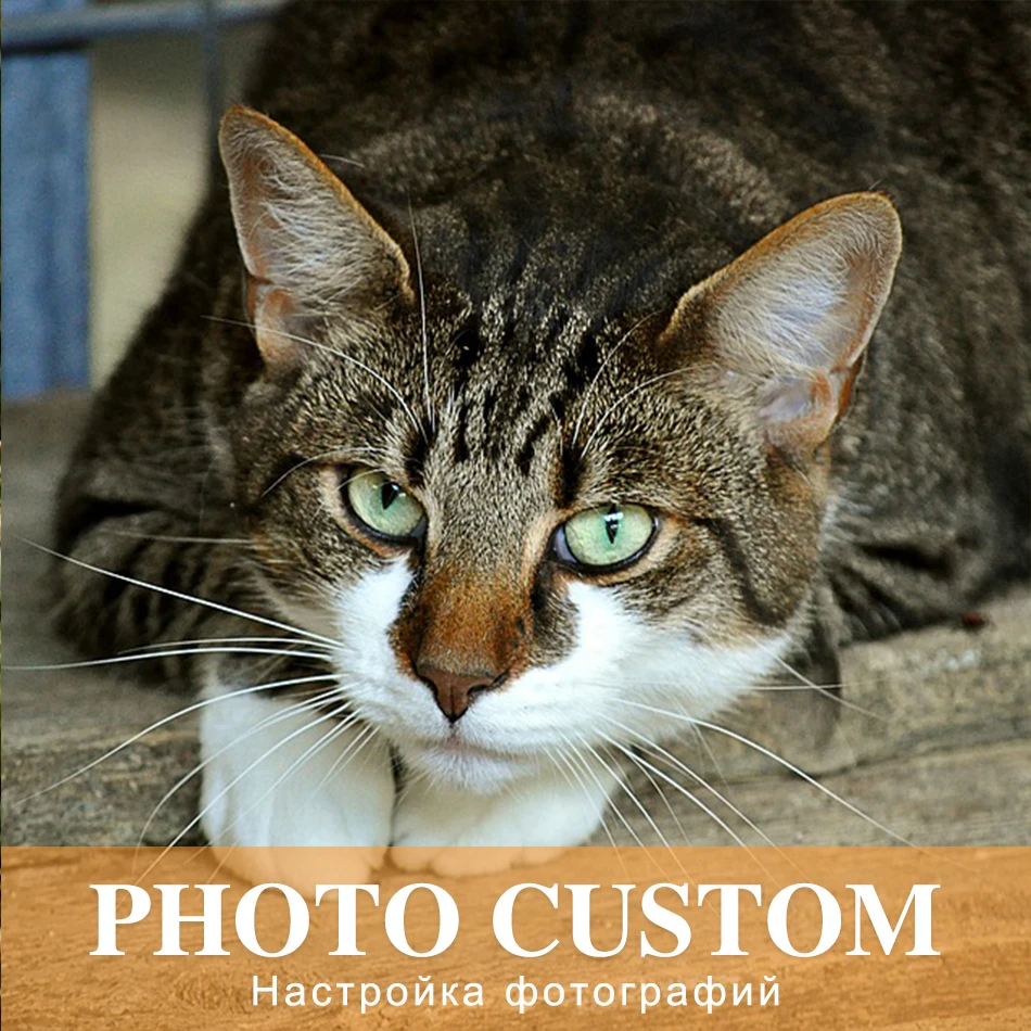 

SaShiKo Full Drill Animals Photo Custom Diamond Painting Square Picture of Rhinestone DIY Diamond Mosaic Diamond Embroidery Sale