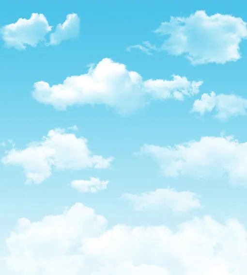 Allenjoy 10 20feet 300 600CM Photography Background Vast Allenjoy 10 20feet 300 600CM Photography Background Vast