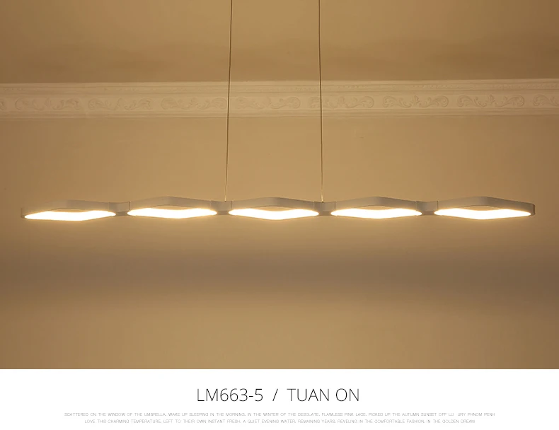 LM663_10