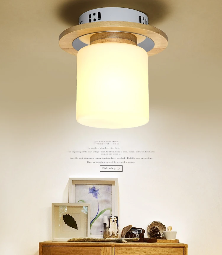 Ceiling Light Fixtures (1)