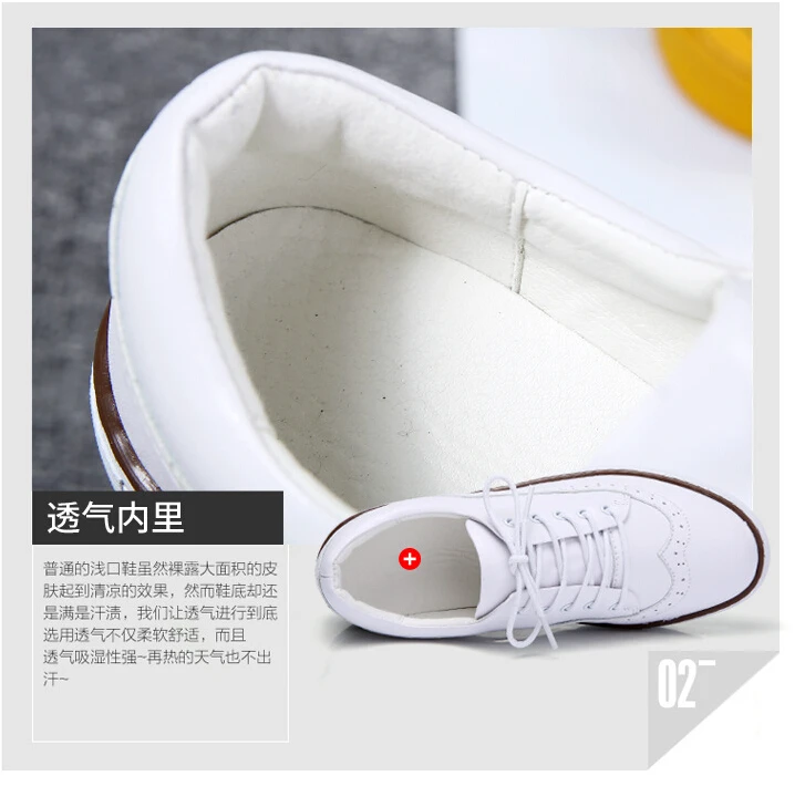 QQ20161019151317 -  -  (2)