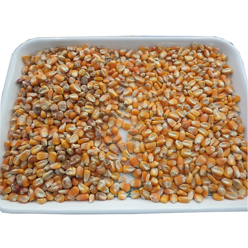 Maize Corn Seed Removing Machine Sweet Corn Germ Husk Kernel Removing Machine Food Processors Aliexpress Maize Corn Seed Removing Machine Sweet Corn Germ Husk Kernel Removing Machine Food Processors Aliexpress