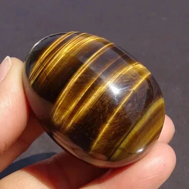 IMG_5539