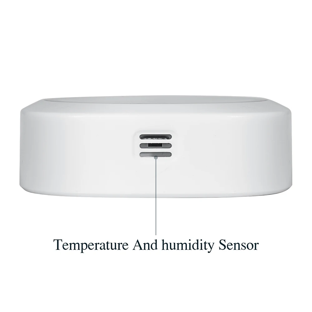 INKBIRD IBS-TH1 плюс Крытый Открытый термометр гигрометр цифровой C/F Измеритель температуры и влажности Метеостанция для мяса домашних животных