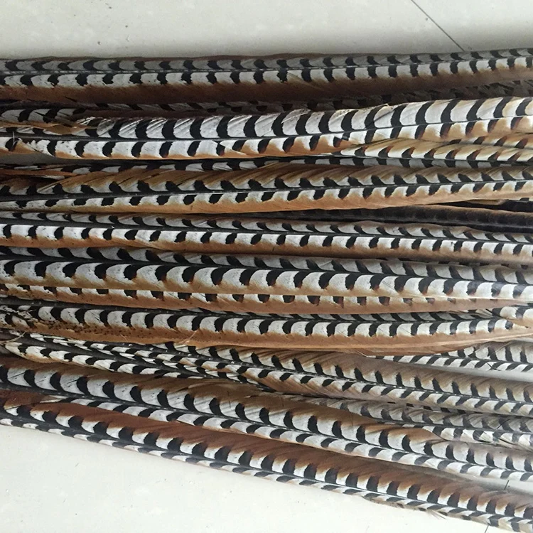 Идеальные 20 шт Ривз перья из хвоста фазана натурального цвета леди Амхерст фазана перо для представления