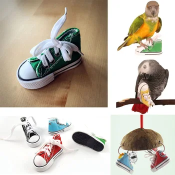 

Mini Parrot Toys Sneaker Bird Toys Parrot Craft Cage Craft Toys Cages Small Dog Cat Pet Cockatiel African Grey Cockatoo Bird Toy