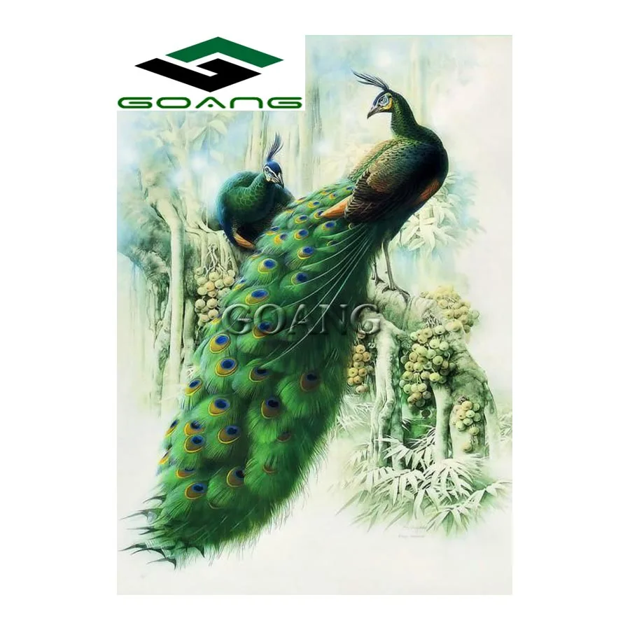 

GOANG 5D Diy Diamond Mosaic Square Diamond Painting Cross Stitch Kit Rhinestones Diamond Embroidery Two peacock Needlework