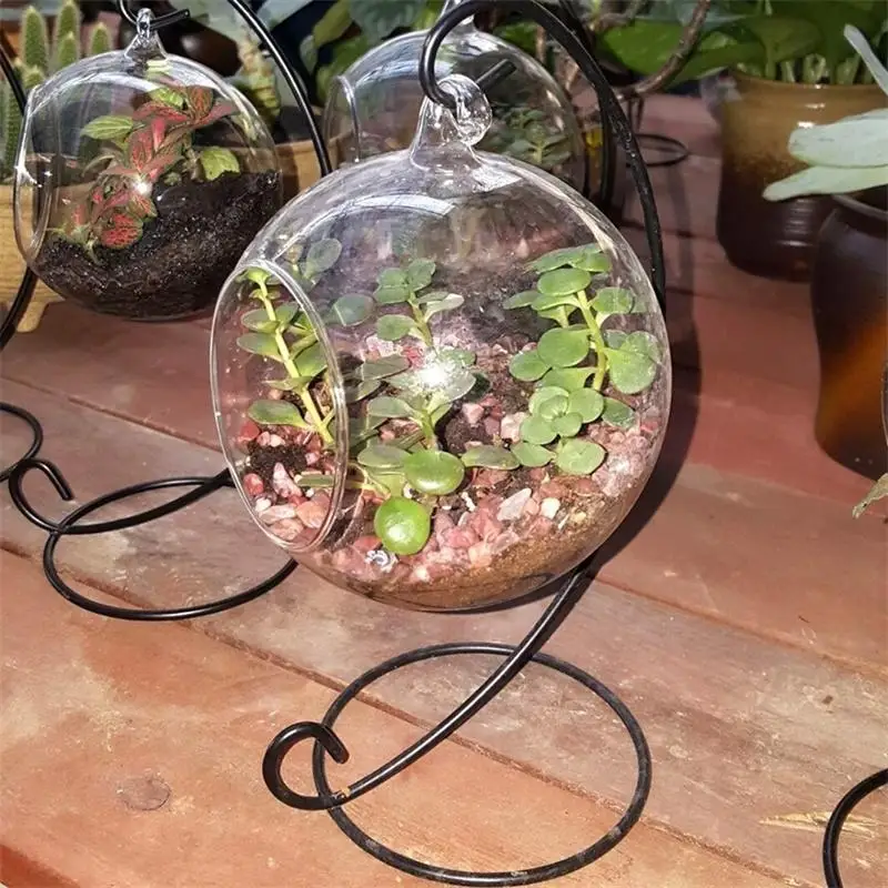 Подвесной прозрачный стеклянный шар подвесной Террариум для растений с металлической подставкой 10 см Глобус стойка держатель круглый аквариум Рыба цветок растение ваза