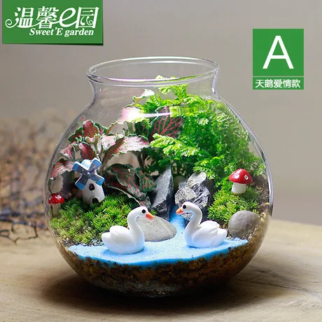 

E cozy garden moss bottle micro landscape ecology Totoro Hayao Miyazaki series of creative gift plants