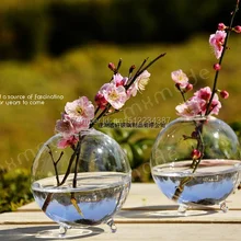 На весь год новая модная подвесная прозрачная стеклянная гидропонная ваза цветы современная семья