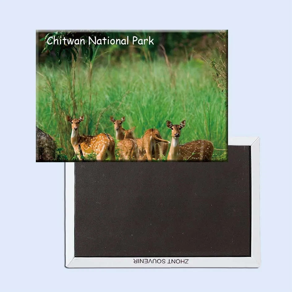SOUVEMAG Chitwan National Park Nepal магниты на холодильник 21070 сувениры по всему миру