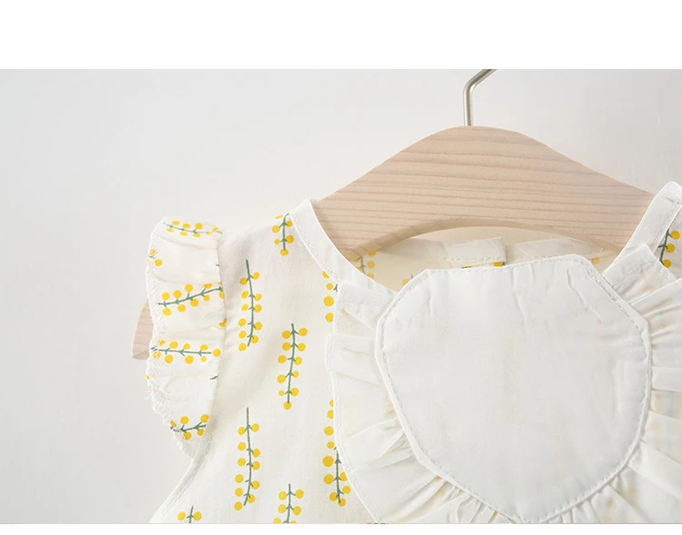 New Born Baby Girls Clothing Sets Princess Dress Tops+Hot short Pants 2 Pcs Kids Outfits Sets 2018 Children Summer Clothes Set (4)