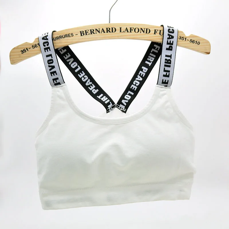 3925798154_2144492895_