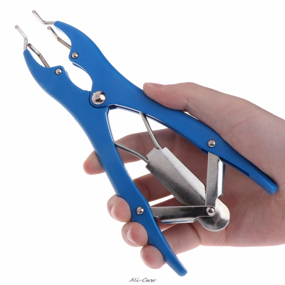 

1Pc Animal Castration Pliers Pig Tail Cutting Clamp Bloodless High Quality Expansion Clamp Device Farm Animal Supplies