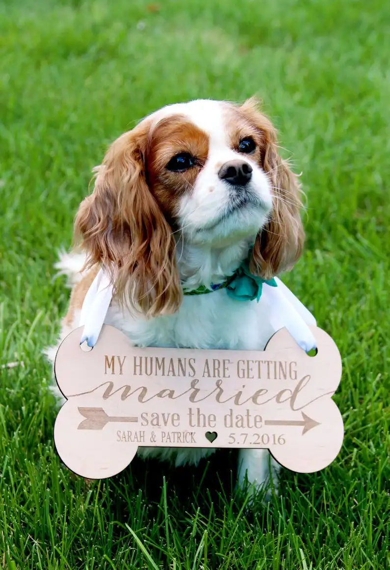 Letrero personalizado para mascotas, accesorio para fotos de compromiso, guardar  Fecha, perro, fotos de boda, image size:794x1159