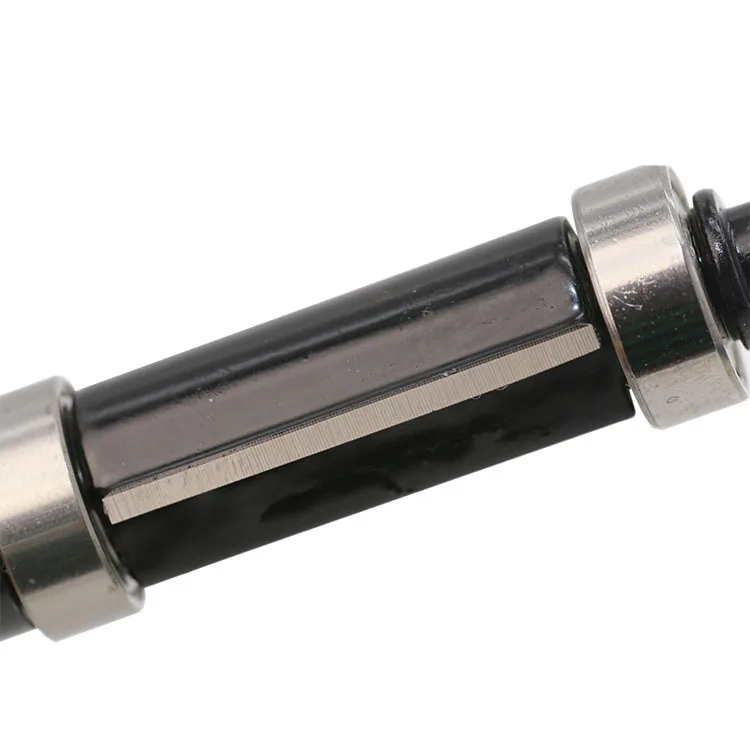 4411616156_271572415