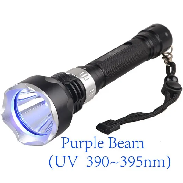 UV Beam