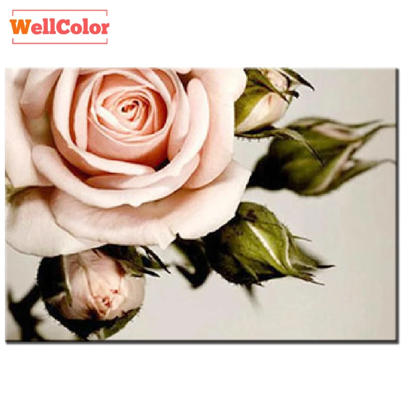 WELLCOLOR DIY diamond painting cross stitch pink rose flowers of 5D diamond embroidery 3D full round mosaic Pattern picture kits (1)