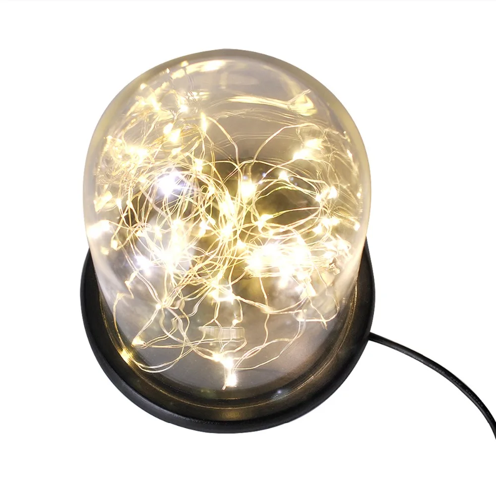 

Glass Dome Bedside Table Lamp Bell Jar Display with USB LED Warm Fairy Starry String Lights