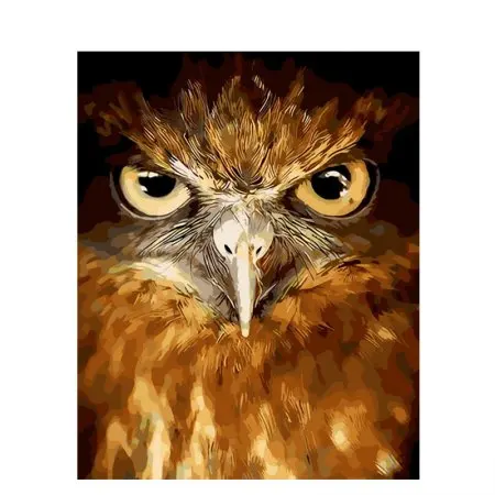 cioioil-W842 eye of the owl digital Painting By Numbers Modern Wall Art Canvas Painting Home Decor