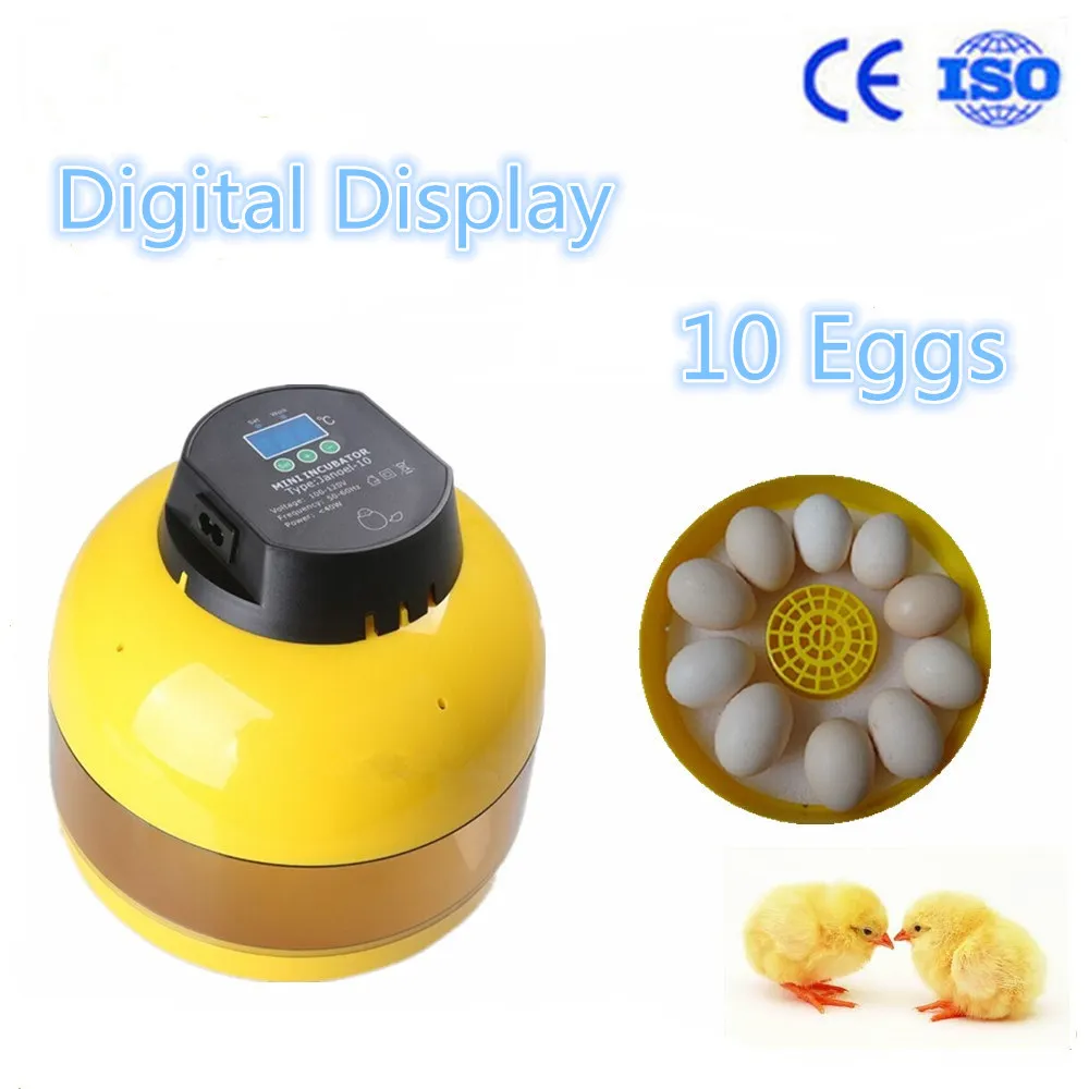 ФОТО  10mini egg incubator quail automatic egg incubator  hatching quail eggs incubator  