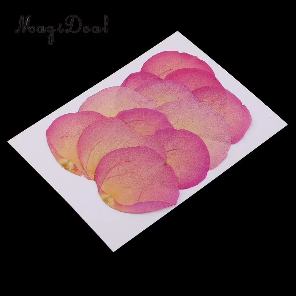 12 Pieces Pink Natural Real Dried Rose Flower Petals for DIY Wedding Christmas Card Making Phone Case Decoration