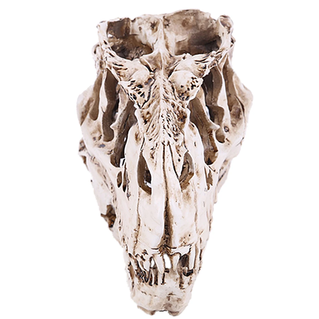 Resin T-rex Skull Replica Skeleton Figurine Collection Bar Decor White | Дом и сад