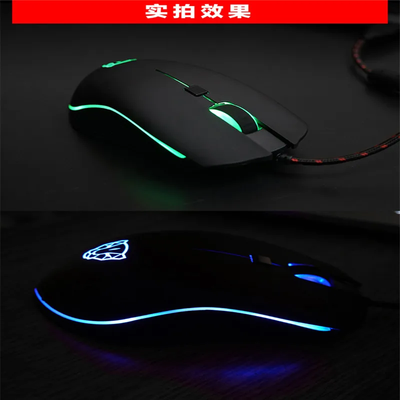 V407