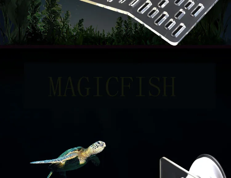 1009--547038811211_detail_4