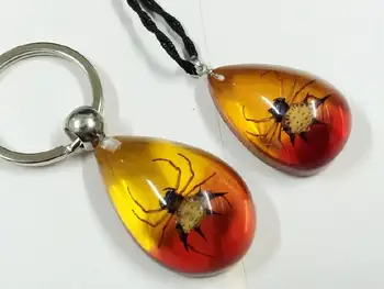 

FREE SHIPPING 10 pcs Vogue Two Design Real Prickly Spider Charming Pendant Keychain