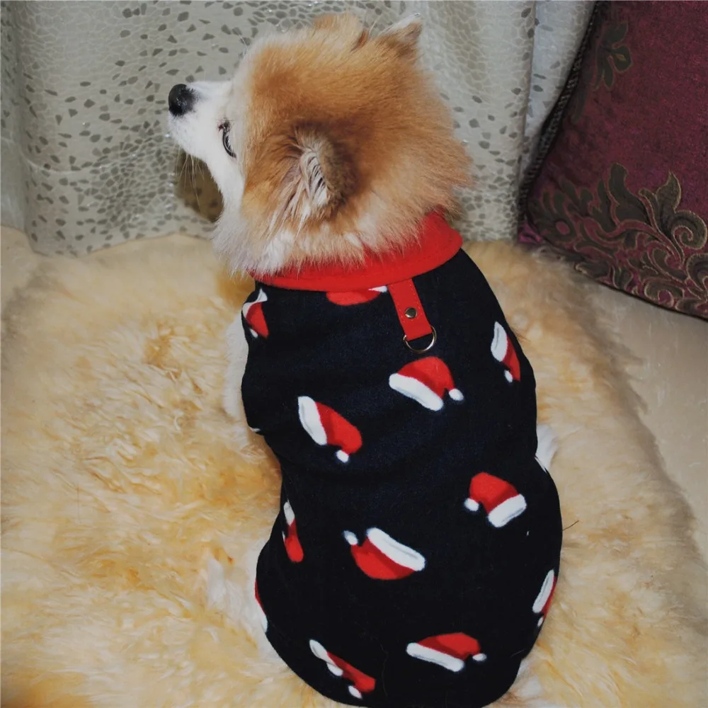 9633764936_361259826